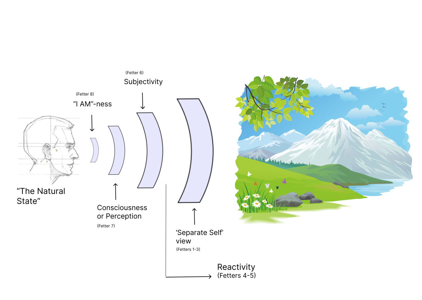 The Insight Path v2